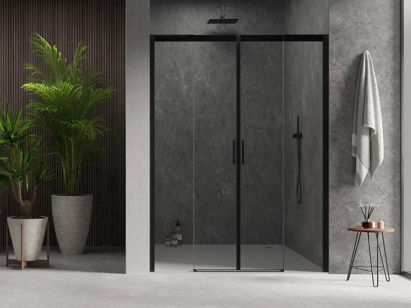 Shower and Partitions Glass